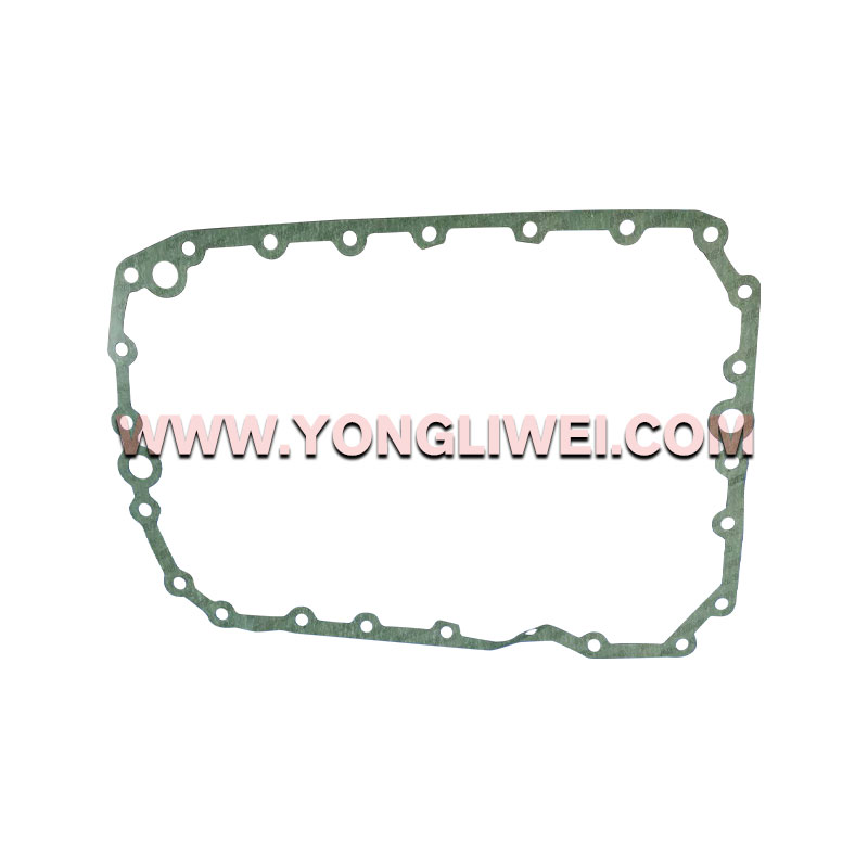 1316 301 042 for Zf 16 Speed Gearbox Paper Pad 1316 301 042