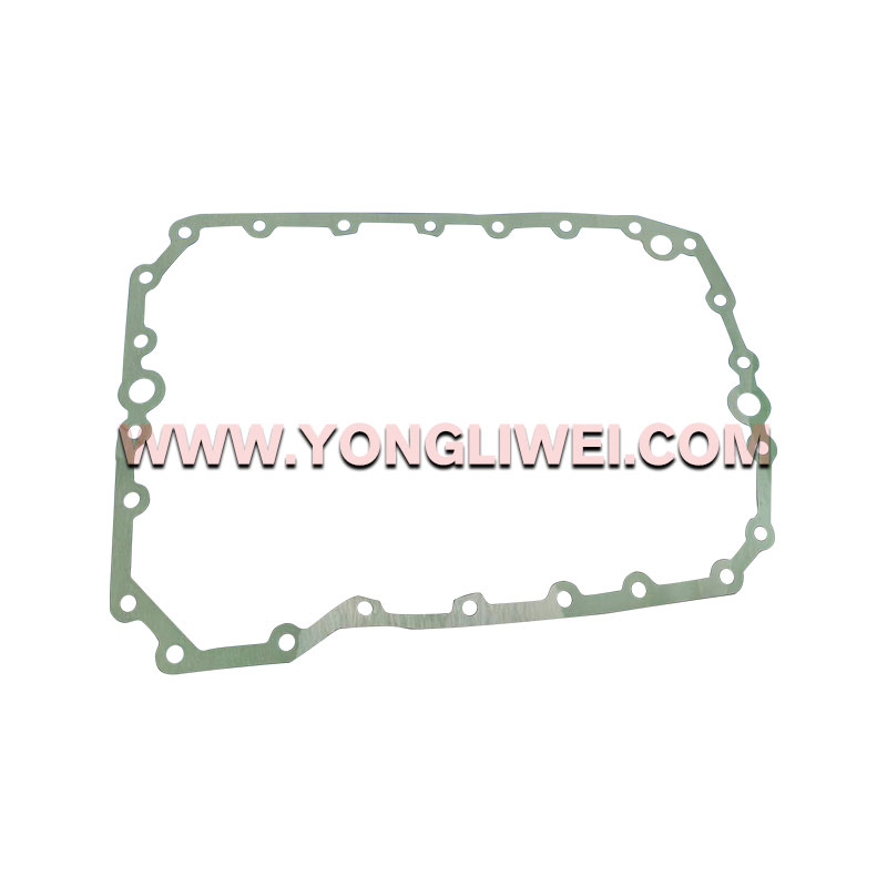 1316 301 042 for Zf 16 Speed Gearbox Paper Pad 1316 301 042