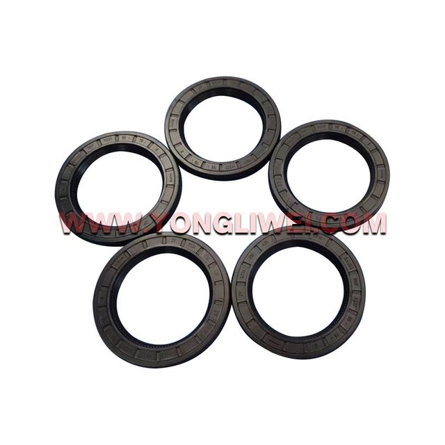 0734 310 435 for Zf 16 Gearbox Input Shaft Oil Seal 0734 310 435