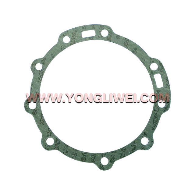 1313 301 036 for Zf 16 Gearbox Paper Pad 1313 301 036