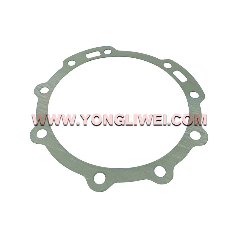 1313 301 036 for Zf 16 Gearbox Paper Pad 1313 301 036