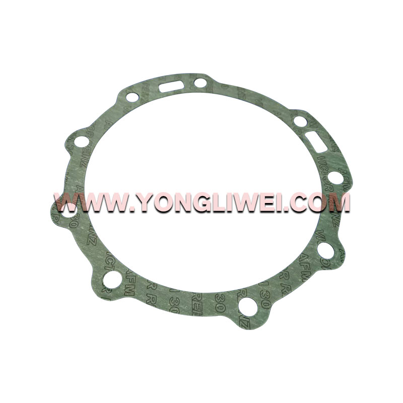 1313 301 036 for Zf 16 Gearbox Paper Pad 1313 301 036