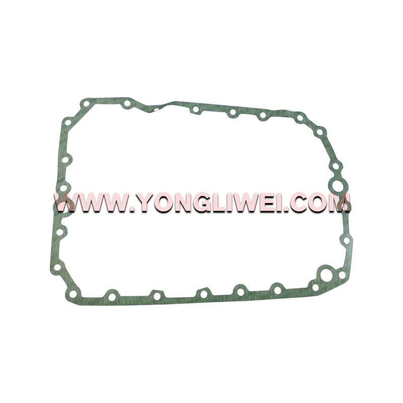 1316 301 042 for Zf 16 Speed Gearbox Paper Pad 1316 301 042