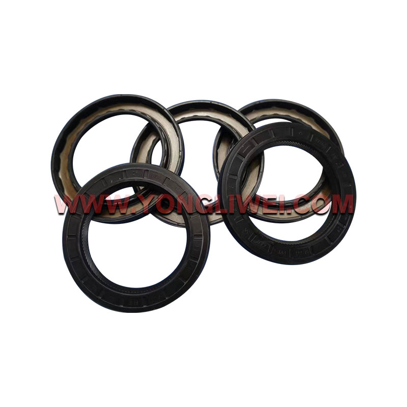 0734 310 435 for Zf 16 Gearbox Input Shaft Oil Seal 0734 310 435