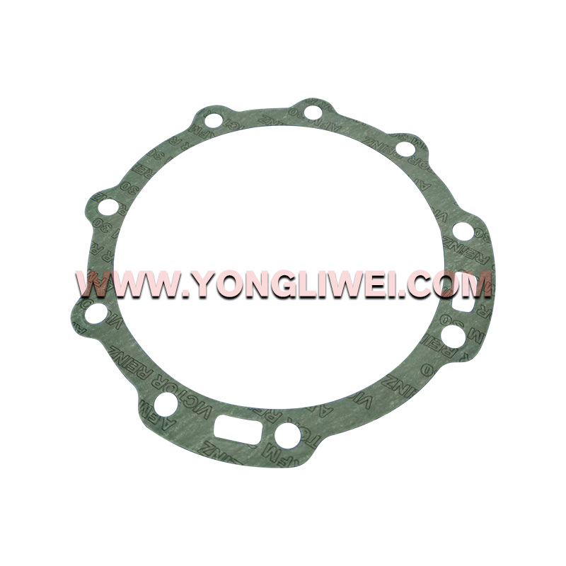 1313 301 036 for Zf 16 Gearbox Paper Pad 1313 301 036