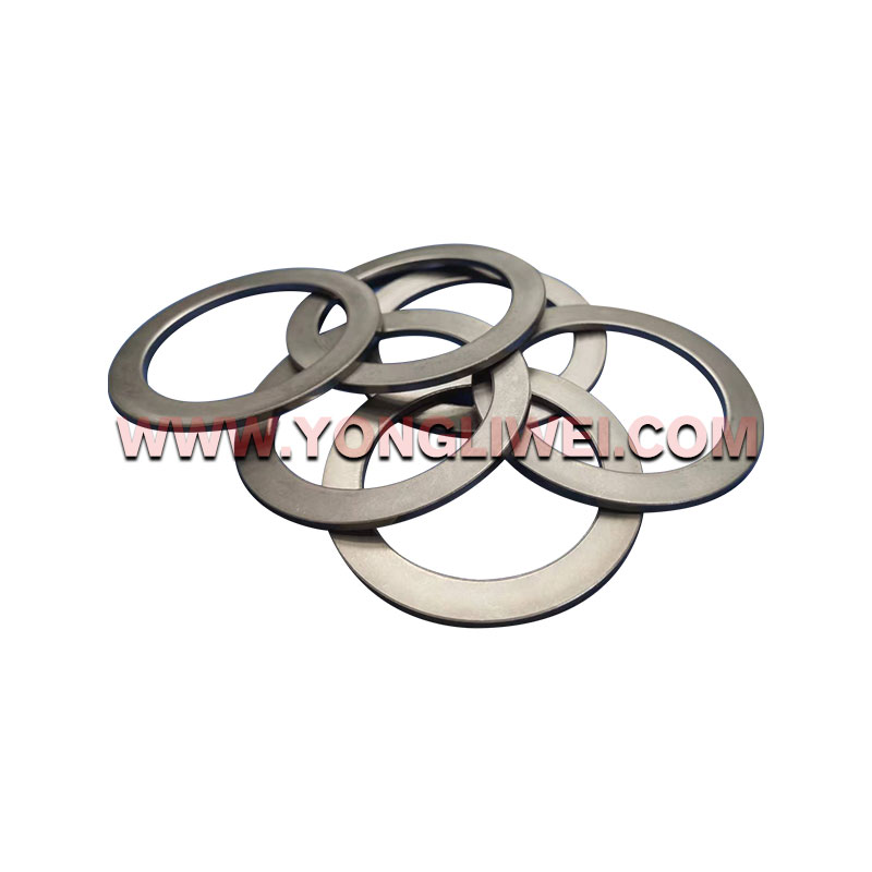 0730 300 745 for Zf 12 Gearbox Gasket 0730 300 745