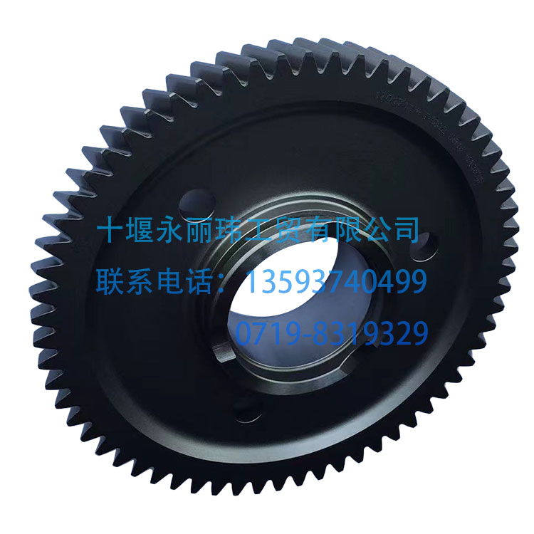 Dongfeng 14 Speed Gearbox Spare Parts Gear 1701711