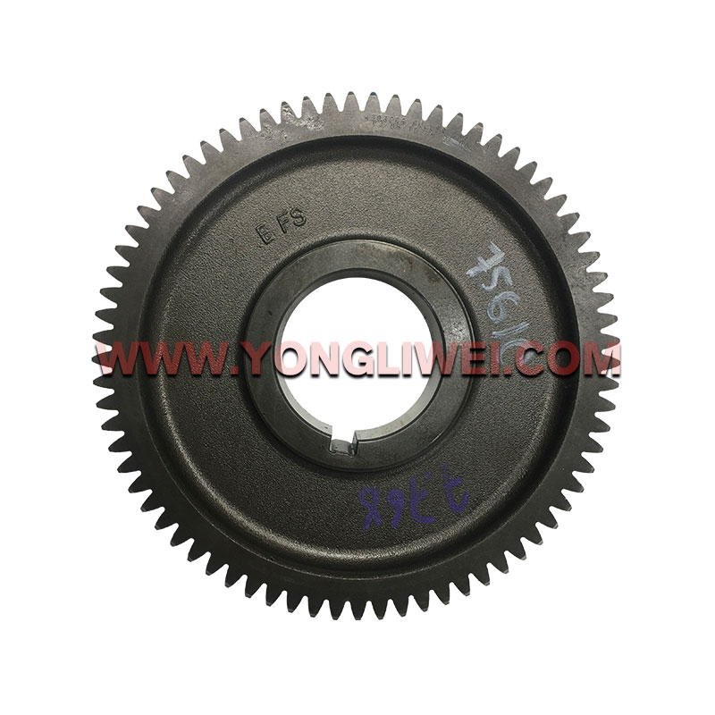 Gearbox Parts 73 Teeth Countershaft Gear 4303666 for Eaton Fuller
