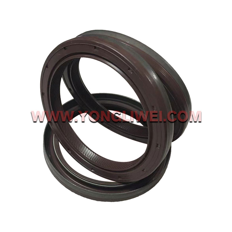 0734 319 847 for ZF Gearbox Input Shaft Oil Seal 0734 319 847