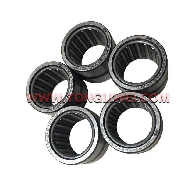 0735 303 081 for ZF Retarder Bearing 0735 303 081