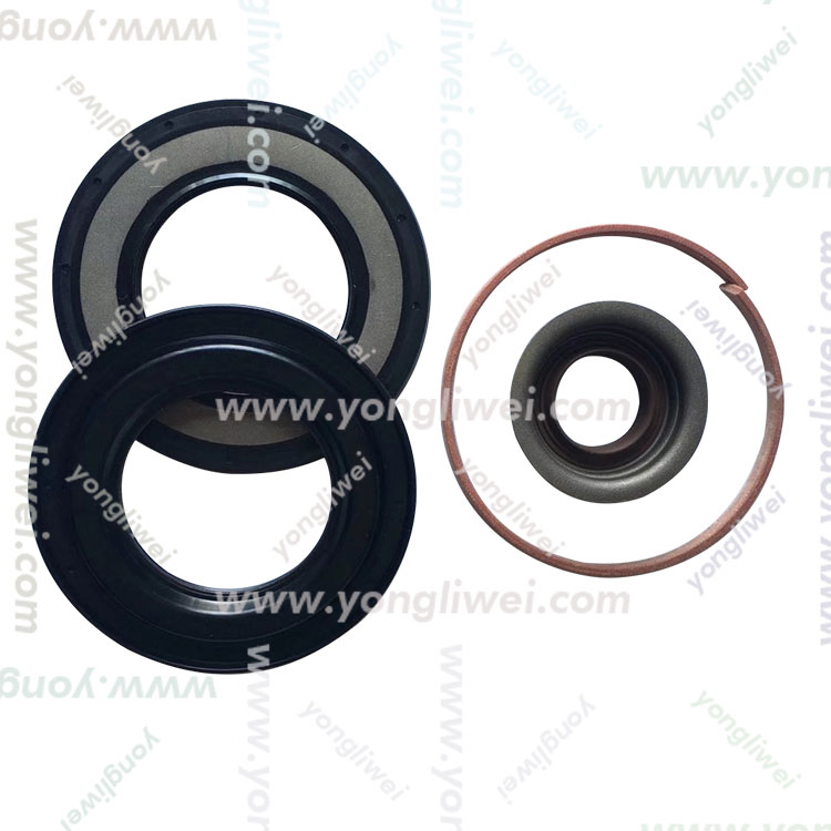 ZF16S221 Cylinder Repair Kit