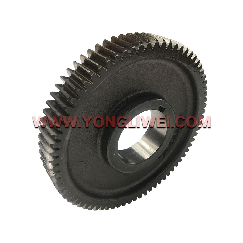 Gearbox Parts 73 Teeth Countershaft Gear 4303666 for Eaton Fuller